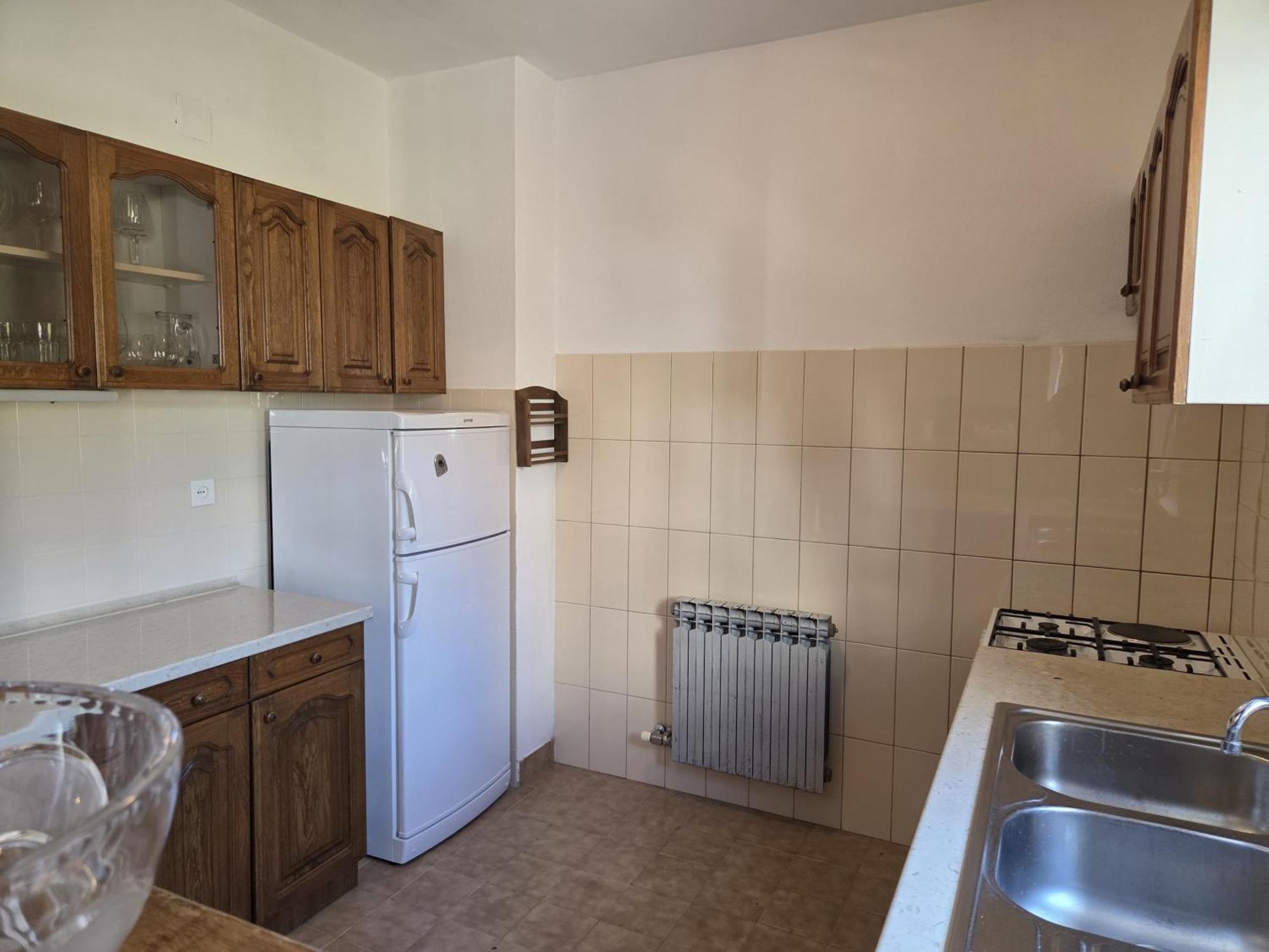 Apartments Jelena Supetar - Four Apartments - A Small House With A Private Yard - Two-Room Apartment With A Sea View - Studio Apartment - Two-Room Apartment With Garden View- Free Parking Dış mekan fotoğraf